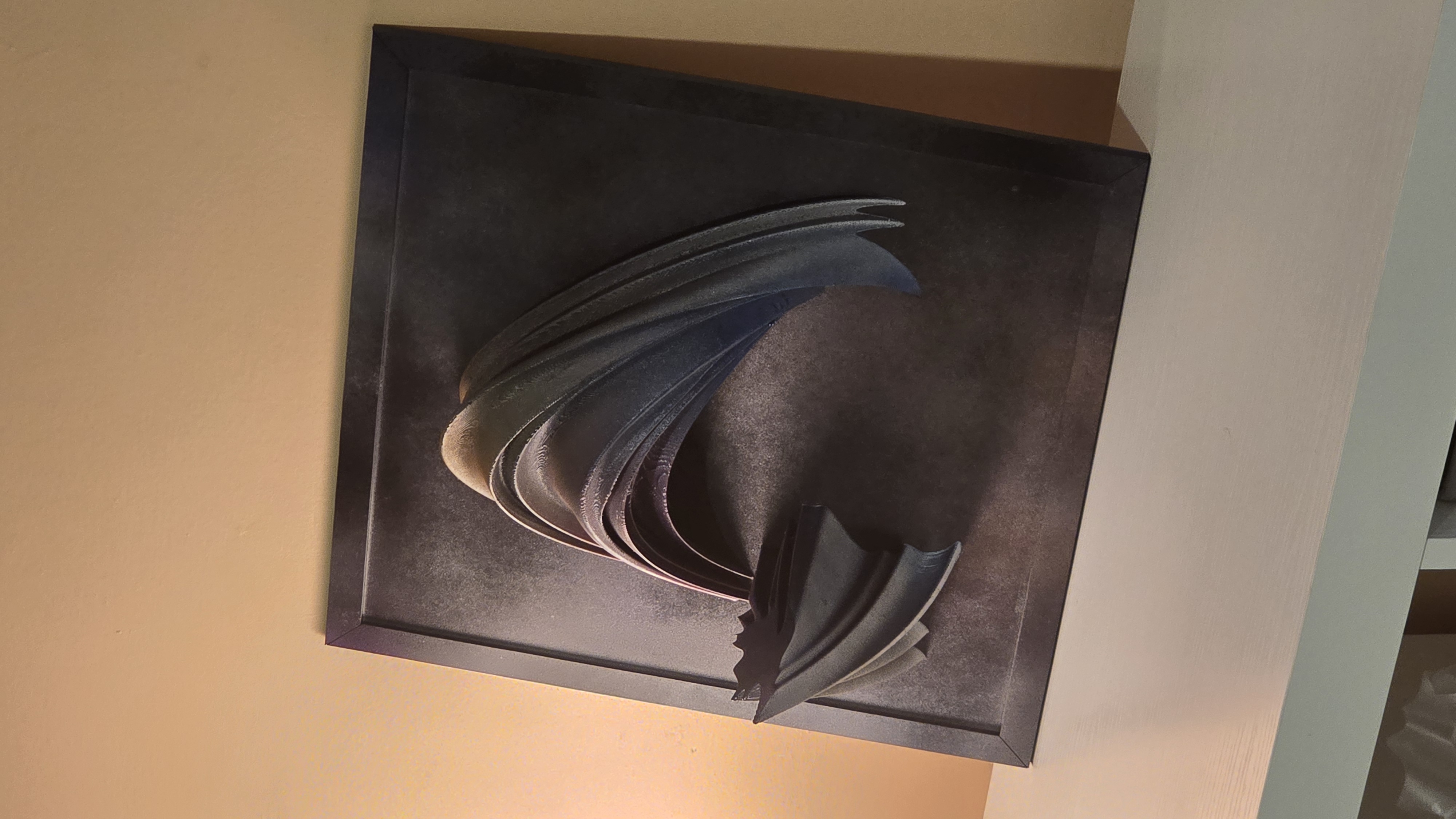 SPACE RELIEF - 1